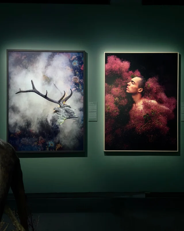 Christian Houge presents a work from his series Residence of Impermanence at the group show “15 Fotografiska Years”, a sweeping celebration of photography that brings together iconic works and audience favourites from Fotografiska’s first fifteen years.
His piece contributes to a wider dialogue alongside masters such as David LaChapelle, Sally Mann, Robert Mapplethorpe, Zanele Muholi, and Swedish icons like Anders Petersen.
📍 October 18 - February 8 at Fotografiska, StockholmView of the exhibition at Fotografiska Stockholm: on the left, a photograph by Christian Houge; on the right, a photograph by David Ụzọchukwu.👉 Explore Christian Houge’s profile via the link in bio.-
Christian Houge présente une œuvre de sa série Residence of Impermanence dans l’exposition collective « 15 Fotografiska Years », une grande rétrospective qui réunit des œuvres emblématiques et des coups de cœur du public ayant marqué les quinze premières années de Fotografiska.
�Son travail s’inscrit dans un dialogue aux côtés de maîtres tels que David LaChapelle, Sally Mann, Robert Mapplethorpe, Zanele Muholi, ainsi que des figures majeures de la photographie suédoise comme Anders Petersen.
📍 18 octobre - 8 fevrier à Fotografiska, StockholmVue de l’exposition à Fotografiska Stockholm : à gauche, une photographie de Christian Houge, à droite, une photographie de David Ụzọchukwu.👉 Retrouvez le profil de Christian Houge via le lien en bio.@fotografiska @fotografiska.stockholm