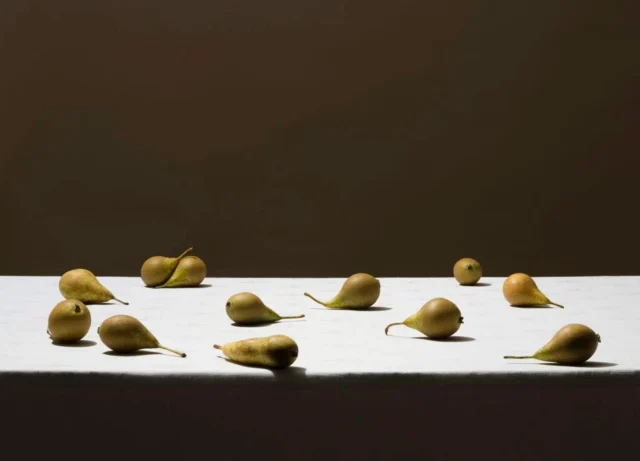 🍒 Ordinary objects become mysterious still lifes in the work of Polish photographer Pawel Żak.In his "Still Life" series, Żak revisits the tradition of Dutch still-life painting through photographs of cherries, tulips, pears, shells and everyday objects. Carefully removed from their usual context, these simple subjects are arranged against an immaculate white tablecloth, creating quiet and enigmatic compositions suspended outside time and space.Minimalist yet rich in possibilities, each image invites us to slow down and contemplate. Like a visual haiku, Żak’s photographs leave room for imagination, allowing each viewer to discover their own meaning in the silence of the scene.🔗 Discover more works by Pawel Żak via the link in bio!—🍒 Des objets ordinaires deviennent des natures mortes mystérieuses dans le travail du photographe polonais Pawel Żak.Dans sa série "Still Life", Żak revisite la tradition de la nature morte hollandaise à travers des photographies de cerises, tulipes, poires, coquillages et objets du quotidien. Sortis de leur contexte habituel, ces sujets simples sont disposés sur une nappe blanche immaculée, créant des compositions silencieuses et énigmatiques, comme suspendues hors du temps et de l’espace.Minimalistes mais ouvertes à de multiples interprétations, ses photographies invitent à ralentir et à contempler. Telles des haïkus visuels, elles laissent une place à l’imagination, permettant à chacun de trouver son propre sens dans le silence de la scène.🔗 Découvrez davantage d’œuvres de Pawel Żak via le lien en bio !